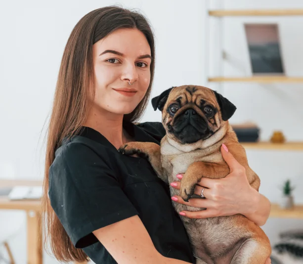 Asistente Veterinario (Kennel Person)