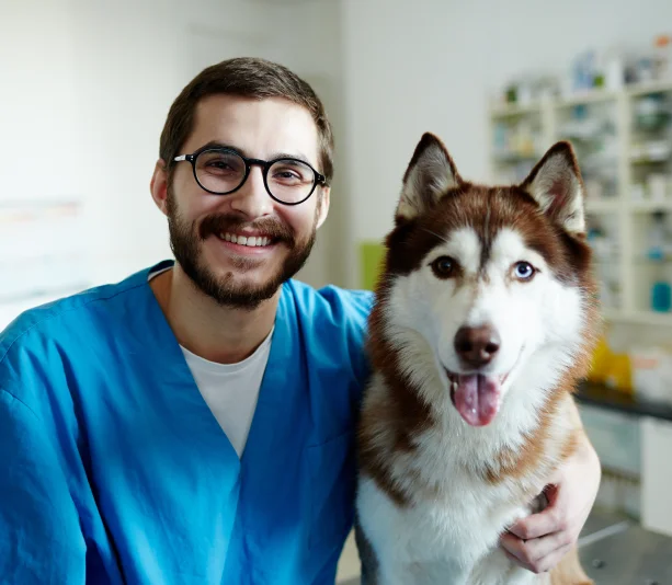 Médicos Veterinarios